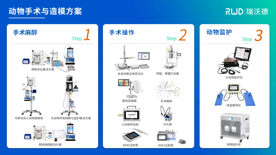 動物手術與造模方案.jpg