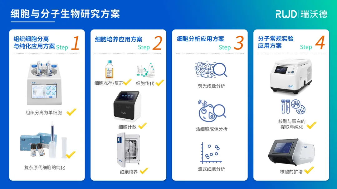 細胞與分子生物研究方案.jpg