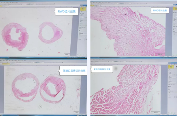 3-無(wú)組織裂隙.jpg