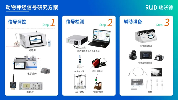 4-動(dòng)物神經(jīng)信號(hào)調(diào)控與檢測(cè).jpg