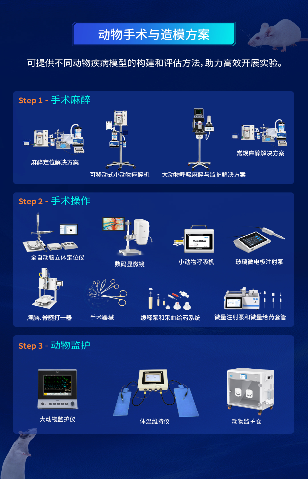 動物手術造模.jpg