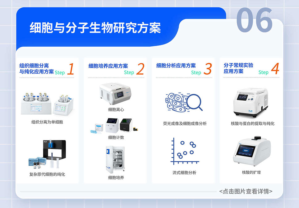 政府-貼息貸款-項目落地-A-官網_08.jpg