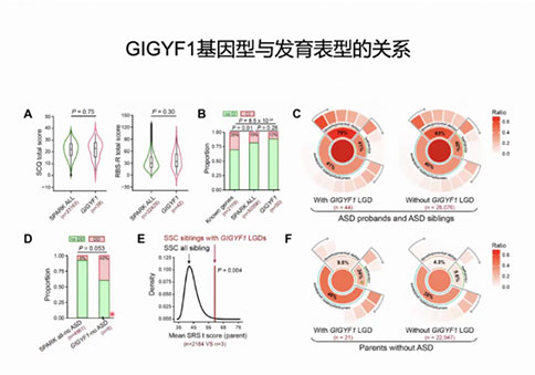 聚焦孤獨(dú)癥的遺傳基礎(chǔ)與神經(jīng)環(huán)路研究 