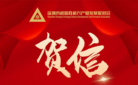 榮獲2022粵港澳大灣區(qū)戰(zhàn)略性新興產(chǎn)業(yè)“領(lǐng)航企業(yè)”，引領(lǐng)未來(lái)社會(huì)經(jīng)濟(jì)發(fā)展