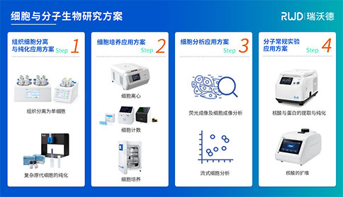 細胞與分子生物研究方案