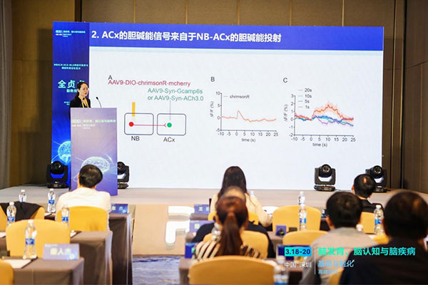 全貞貞教授作專題報(bào)告