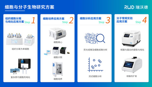 展會預(yù)告 | 倒計時7天！瑞沃德與你相約第四屆全國腫瘤細胞生物學(xué)年會