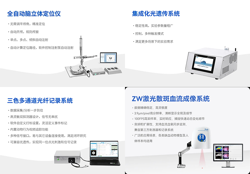 瑞沃德邀您共赴2024長三角神經(jīng)科學(xué)論壇