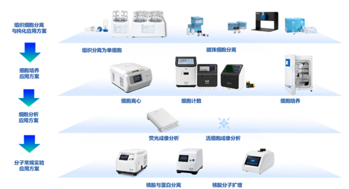 瑞沃德精彩亮相ICGT 2024！