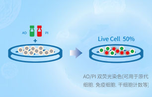 AO/PI雙熒光染色計數