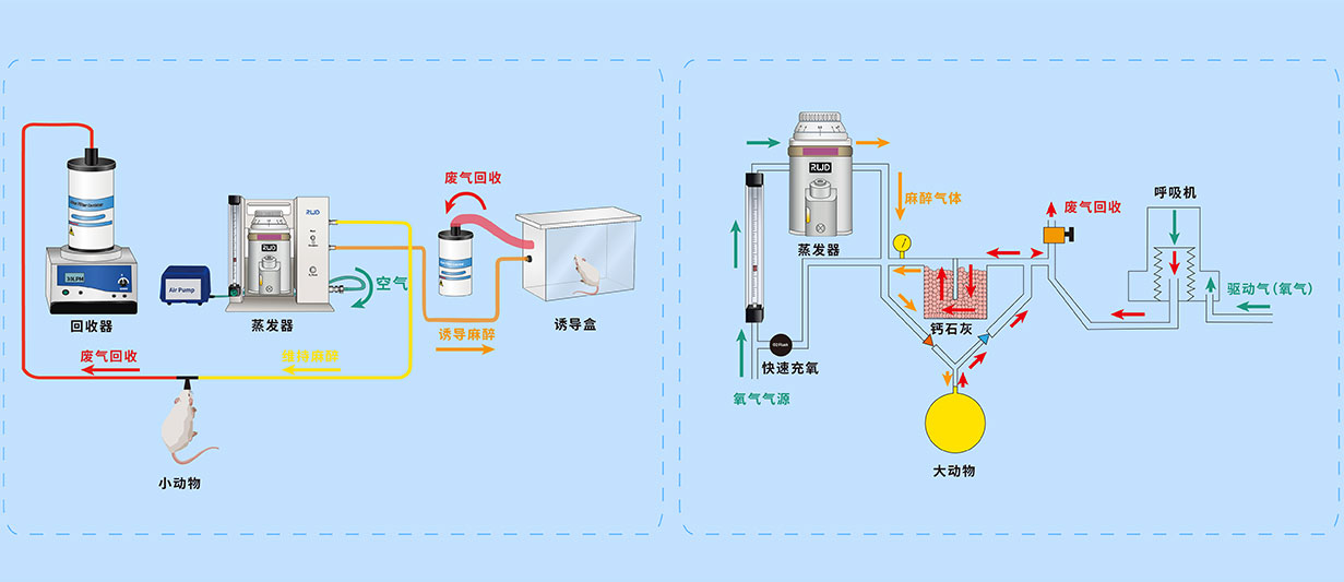 手術麻醉