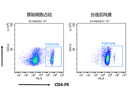 小鼠CD4+細胞分選試劑盒