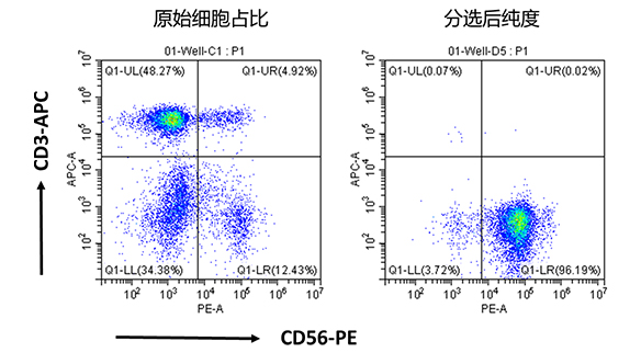 人NK細胞分選試劑盒（科研級）