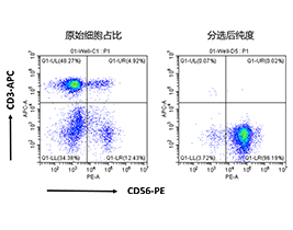 人NK細胞分選試劑盒（科研級）