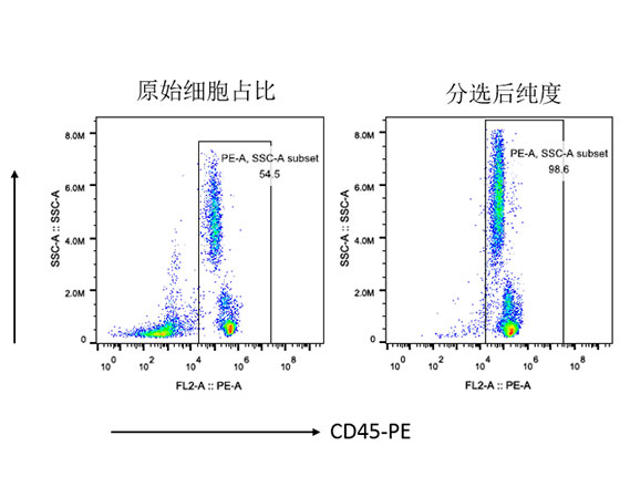 人CD45+細(xì)胞分選試劑盒（科研級(jí)）