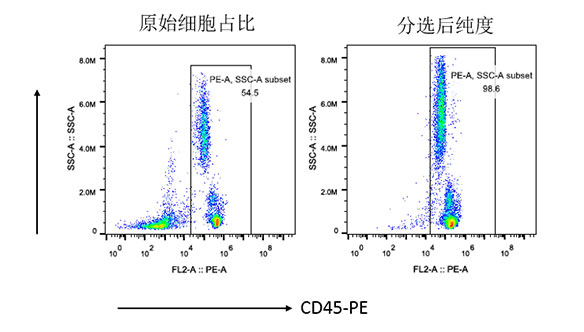 人CD45+細(xì)胞分選試劑盒（科研級(jí)）