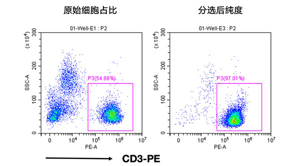 人CD3+細胞分選試劑盒（科研級）