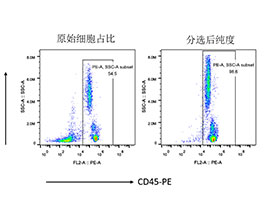 人CD45+細(xì)胞分選試劑盒（科研級(jí)）