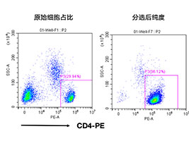 人CD4+細胞分選試劑盒（科研級）