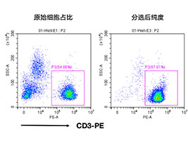 人CD3+細胞分選試劑盒（科研級）