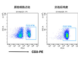 小鼠CD3+細胞分選試劑盒