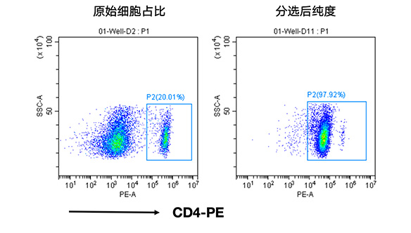 小鼠CD4+細胞分選試劑盒