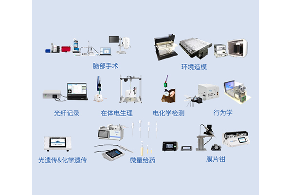 神經(jīng)生物學(xué)教學(xué)實(shí)驗(yàn)產(chǎn)品方案